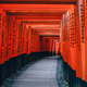Japan Vacation Package | $1309+ | TripMasters